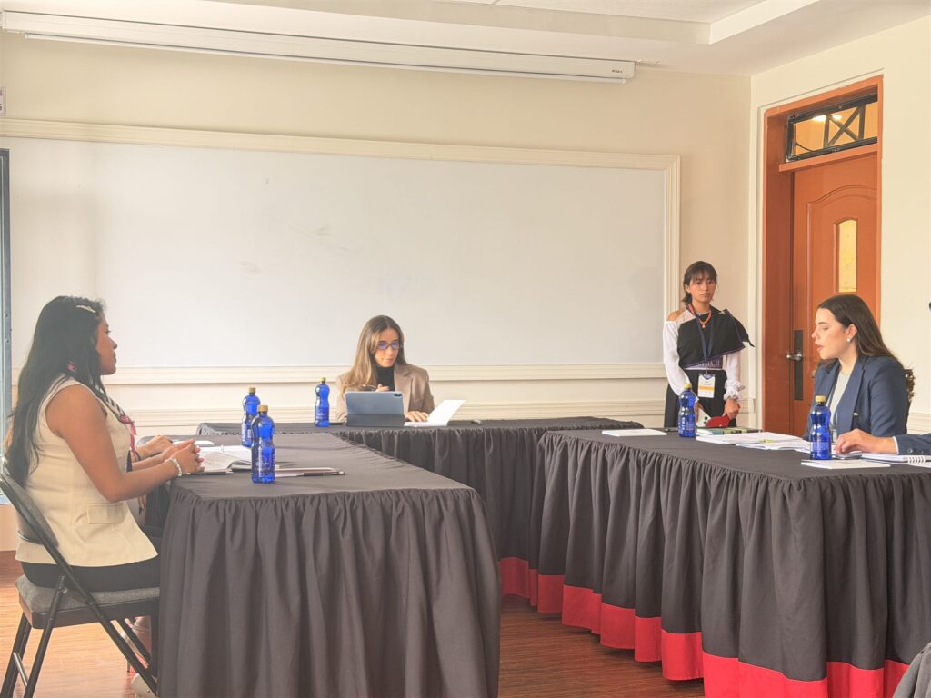 Mediation session at the AMCHAM and USFQ Mediation Competition