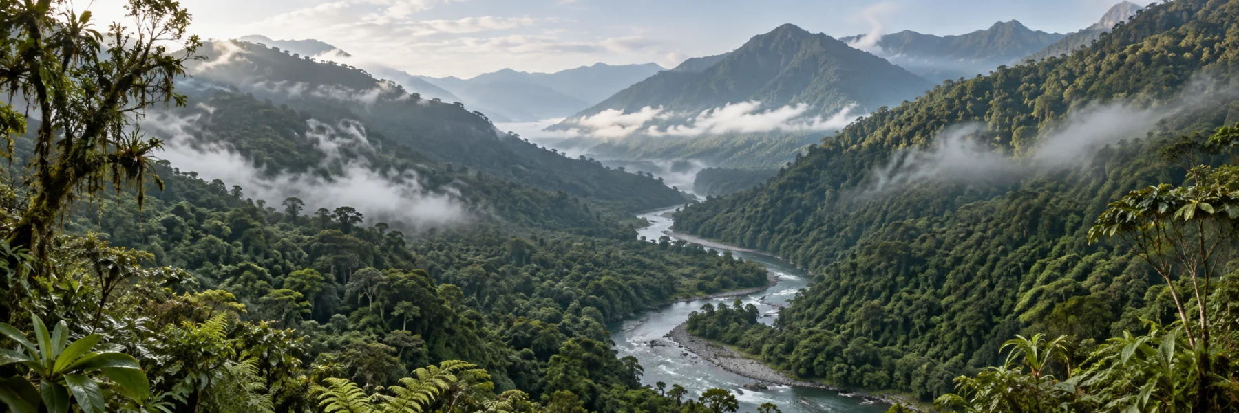 Imagen conceptual de Ambiental